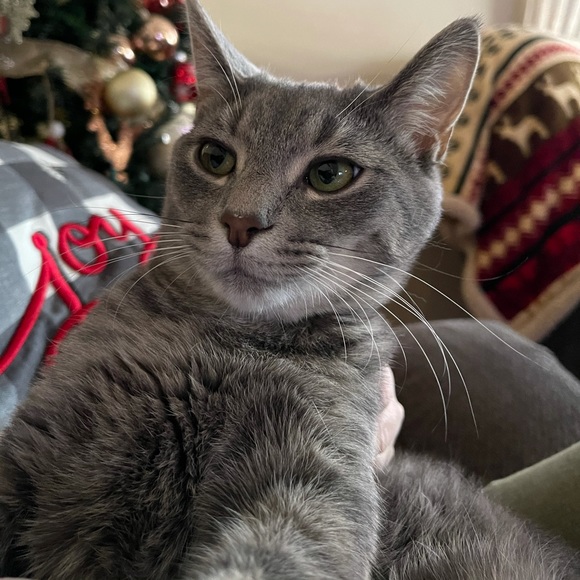 Meet your Posher, Reem - Picture 3 of 3